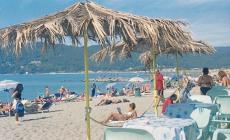 Allarme squalo sulla spiaggia di Marinella di Sarzana.  Ma era una verdesca, nessun pericolo