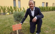 Un ulivo per il centro dialisi della Casa della comunit&agrave; monsignor Cocchi