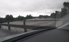 La pioggia ingrossa il torrente Baganza: le foto di una lettrice 