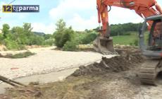 Traversetolo, il giorno dopo l'esondazione del Termina: interviste al sindaco e a un allevatore rimasto isolato - Video