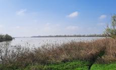 La piena del Po ha superato Boretto. Il maltempo si attenua, monitorato il Secchia fra Modena e Reggio 