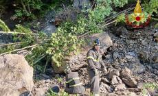 Piacenza, un uomo di  71 anni  sepolto da una frana in Val Aveto. Il corpo trovato dopo ore