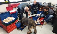 Guardia di Finanza: scoperti 27 evasori totali e 235 lavoratori in nero in quasi un anno e mezzo 