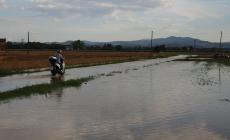 Strade allagate tra Soragna e Busseto, situazione critica - Foto e video