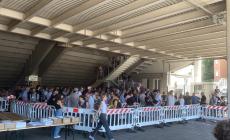 Campagna abbonamento (aperta a tutti), un successo enorme: code allo stadio, "assalto" on line: 1.170 tagliandi venduti in 35 minuti   - Foto e Video