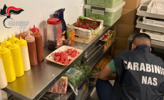 Cucina da incubo con scarafaggi e sporcizia ovunque: i Nas chiudono un ristorante etnico in città