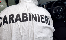 Si ferisce coi vetri mentre fa razzia sulle auto nei garage: il dna incastra la “solita Bonnie” parmigiana