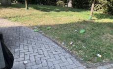 Via Pedretti, l'angolo verde "vandalizzato e sporcato" - Le foto