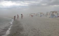 Nubifragio a Bologna, albero in tangenziale e voli dirottati. Tempesta di sabbia a Rimini, danni da maltempo anche nelle Marche - Video