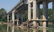Il Po si ritira, tronchi e materiali abbandonati sotto al ponte Verdi