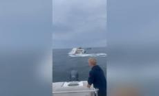 Balena si schianta contro una barca di pescatori: il video del pauroso attacco