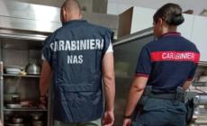 Gravi carenze igienico-sanitarie in un ristorante: attivit&agrave; sospesa, sequestrati funghi e carne di cinghiale 