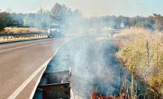 Paura a Busseto: incendio in tangenziale
