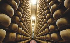 Parmigiano Reggiano, nel primo semestre sono aumentate le vendite: +15,1%