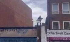 Compare un altro animale nel "safari" di Banksy in giro per Londra: ma viene subito rubato - Video

