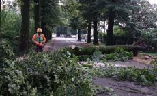 La Bassa in ginocchio: danni e strade chiuse - Foto