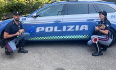 Mici appena nati abbandonati nell'area di servizio di Medesano: salvati dalla Polstrada di Berceto