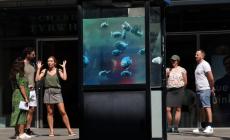 Banksy non si ferma più, nel London Zoo ecco l'acquario