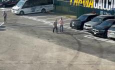 Parma-Palermo, l'arrivo di Krause e le formazioni - Video