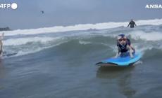 Surf, cani sulla cresta dell'onda per il campionato mondiale in California - Video