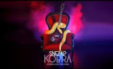 Le Snei Ap: " Kobra, la cover sibila con 5 boa e cobra addestrati" - Video