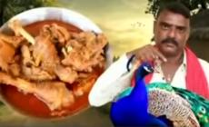 Youtuber arrestato in India: ha cucinato un curry di pavone
