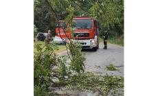 Pioggia e vento forte a Salsomaggiore, albero cade sulla strada a San Vittore - Foto 