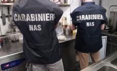 Scarafaggi ovunque  e sporco "antico": il Nas chiude un bar del centro. Multa da 3mila euro al titolare