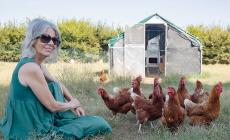 &laquo;Da Miami a Parma, la mia nuova vita in campagna con 240 galline&raquo; 
