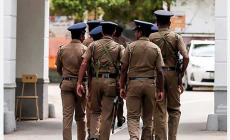Rubano farfalle in Sri Lanka, padre e figlio  modenesi arrestati