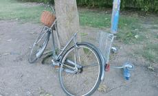 Paradigna, skate park o discarica?