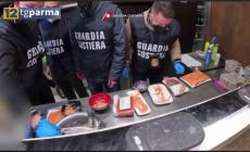 Guardia Costiera di La Spezia: maxi sequestro di prodotti ittici anche a Parma- Video