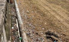 Spazzatura in citt&agrave;