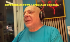 Siamo al Lido o a Hollywood? 7bello news sbarca a Venezia - Video