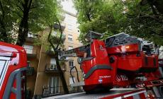 Albero pericolante "minaccia" un condominio in via Isola - Foto