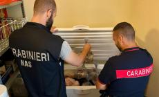 I Nas in un ristorante dell'Appennino: sequestrato un quintale di prodotti alimentari, controlli sulla carne di cinghiale