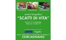 Mostra Avis: "Scatti di vita"