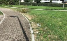 Skate park e parco di via Romita: da Nord a Sud di Parma fioccano i rifiuti sevaggi - Le foto