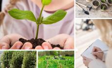 Proseguono tutta settimana i laboratori di&nbsp;KilometroVerdeParma&nbsp;al&nbsp;Salone del Camper,&nbsp;al padiglione 4