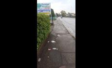 Rifiuti sparsi in via Baganzola
