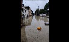 Faenza, l'acqua che invade la città : il video