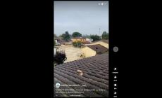 L'alluvione a Traversara di Bagnacavallo: la gente sui tetti - Video