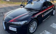 Fidenza: ruba una tuta con una borsa schermata e poi minaccia ed aggredisce i vigilantes