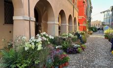 Guastalla, torna il weekend di "Piante e animali perduti" - Il programma 