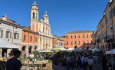 Guastalla, tra piante e animali perduti. E c'&egrave; l&agrave; novit&agrave; del maxi tappeto vegetale