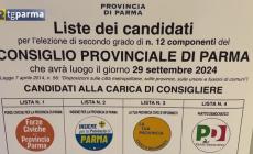 Elezioni provinciali: Cesari o Fadda? Entro sera il nuovo presidente e il nuovo consiglio - Video