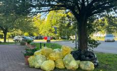 Rifiuti, montagne di plastica in via Picasso in attesa della raccolta - Foto 
