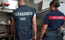 Controlli nelle mense scolastiche delle province di Parma, Piacenza, Modena e Reggio Emilia.  Irregolarità in Val d'Enza e nella bassa reggiana