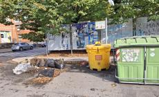 Piazzale Chaplin: "Quei sacchi di inciviltà che giacciono qui da mesi" - Foto