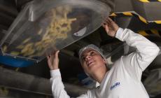 Prevenzione del tumore al seno, a Barilla il premio Impatto